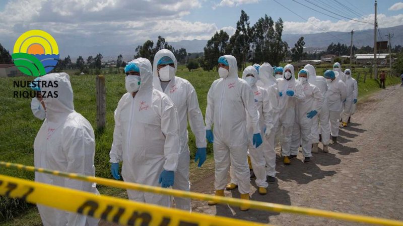 180 mil aves se dieron de baja cumpliendo procedimientos técnicos en Cotopaxi 