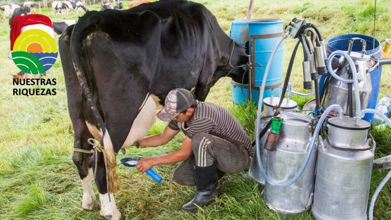 742 operativos a la leche cruda para garantizar su calidad