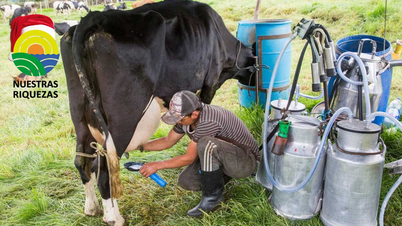 742 operativos a la leche cruda para garantizar su calidad