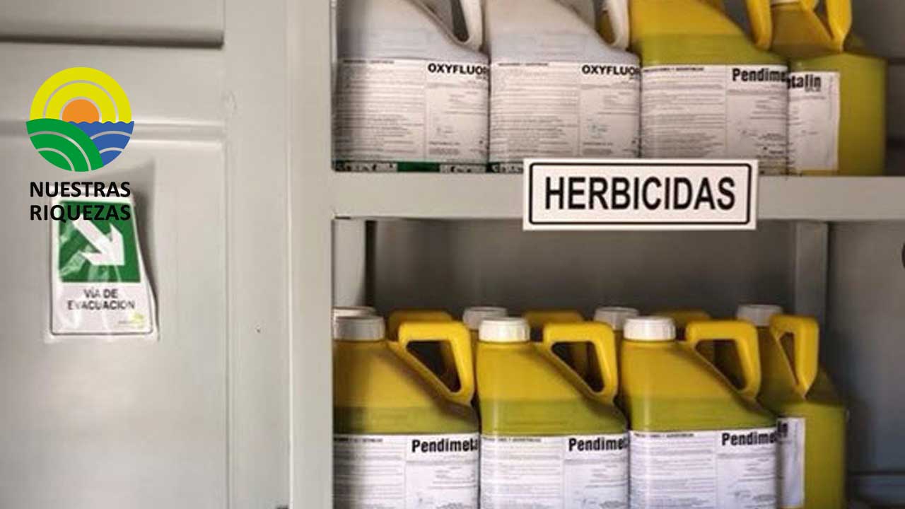 Amplían plazo de inscripciones para que pequeños productores obtengan reembolso del 20% en compras de insumos agropecuarios
