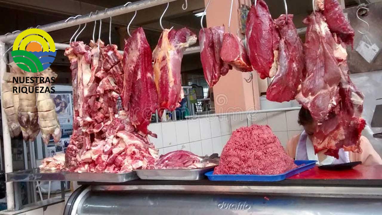 Autoridades ejecutan acciones para que cárnicos se expendan en buen estado 