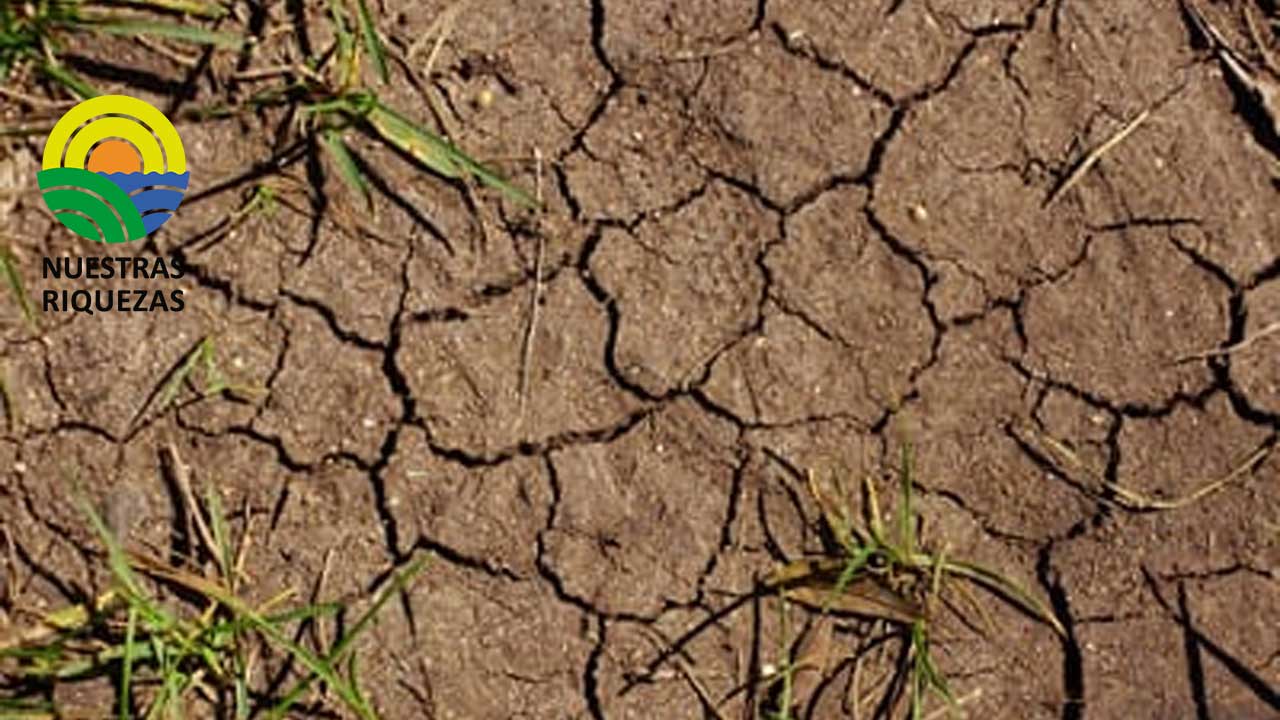 Degradación del suelo amenaza la seguridad alimentaria 