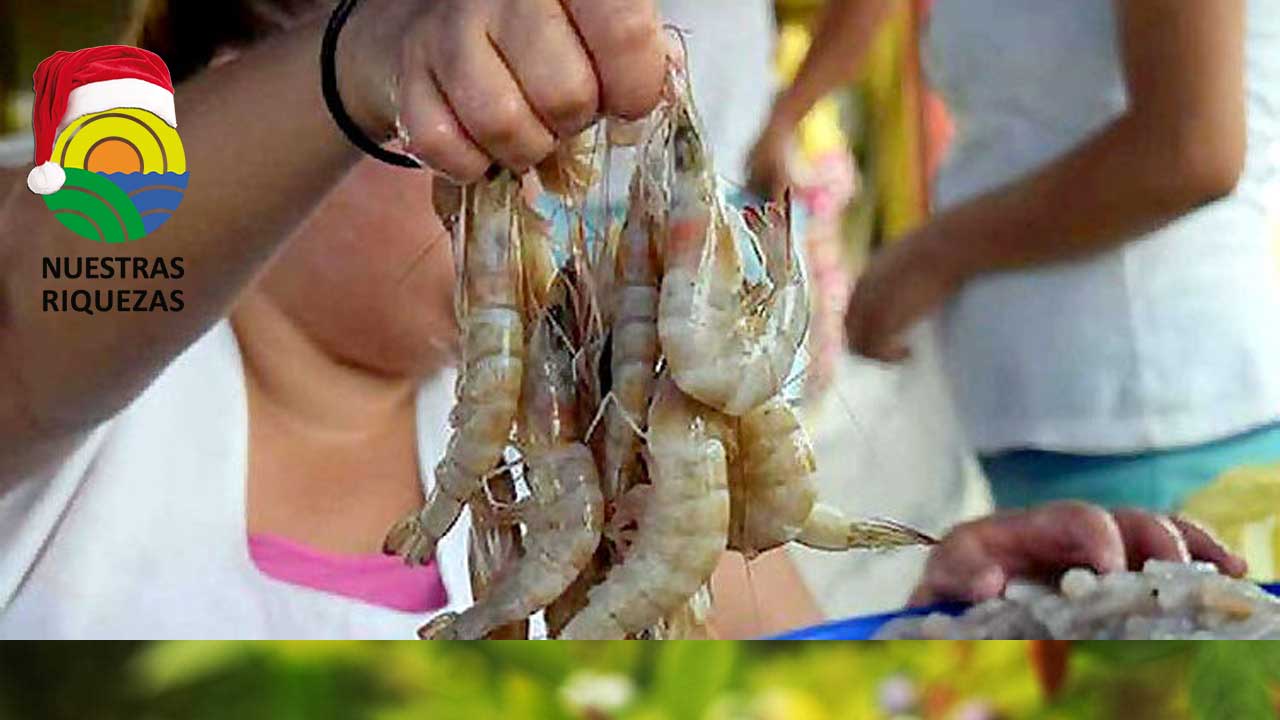 Ecuador no firmará acuerdo con México sin camarón y banano