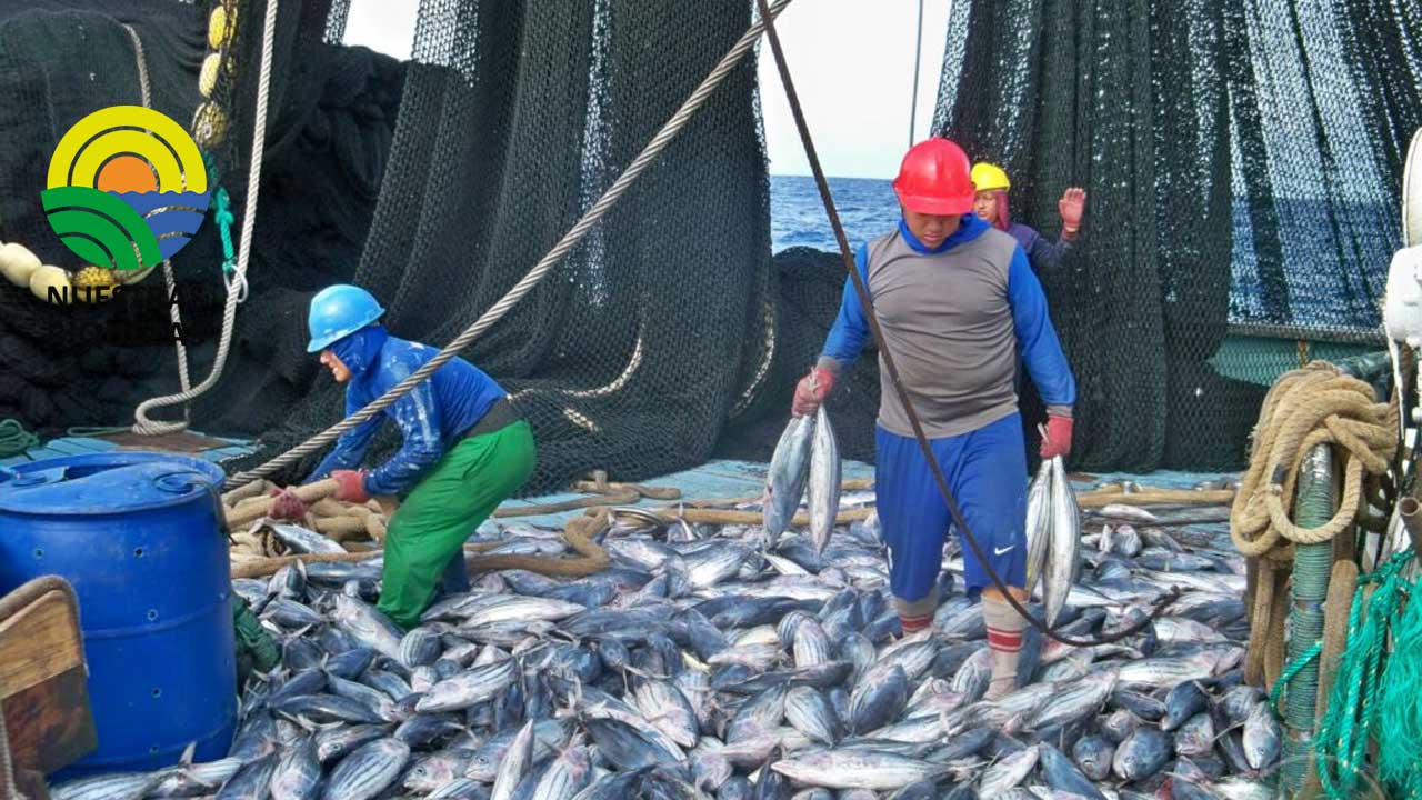 Ecuador sigue promoviendo una mayor transparencia pesquera y se convierte en el primer país candidato a FiTI en la región 