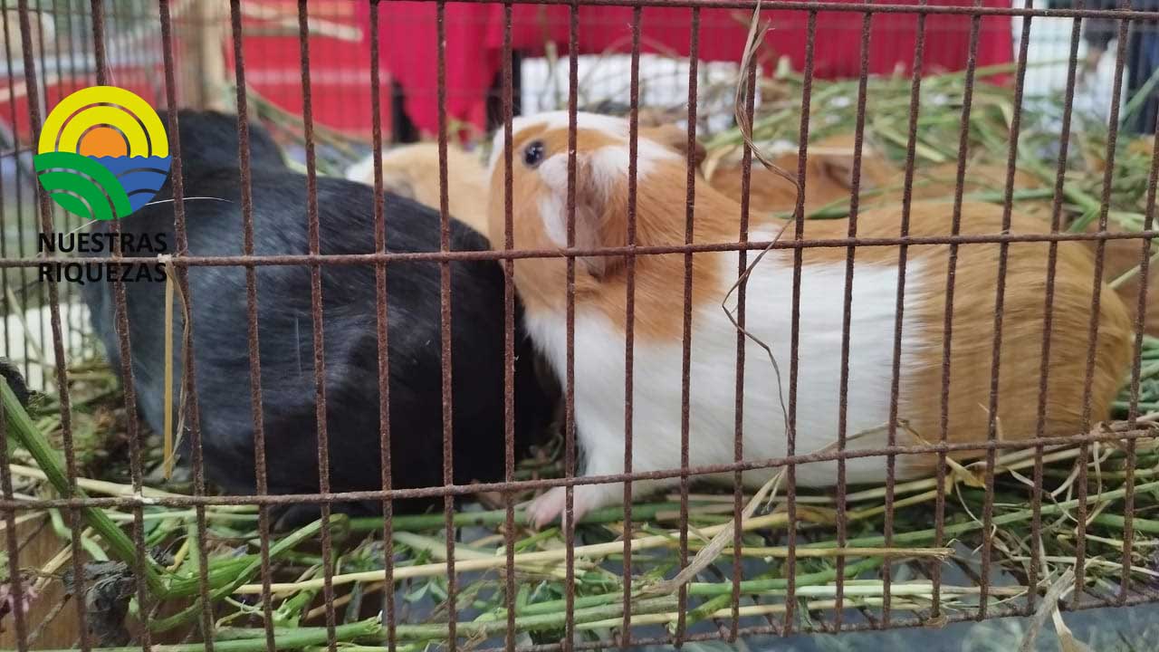 El MAG participò del “XIV Foro Agropecuario Provincial” en Mocha. 