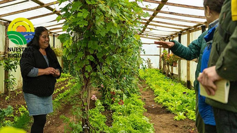 El lugar del turismo sostenible en la conservación de cuatro increíbles zonas agrícolas