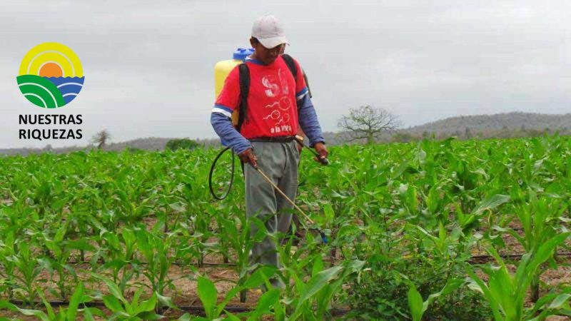 FAO ponderó a la siembra directa, pero pidió menos uso de ‘fertilizantes químicos y pesticidas 