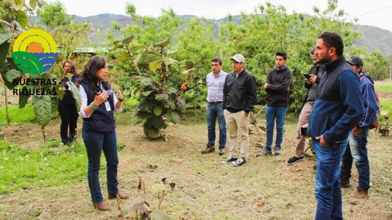 Iniap realizò el primer taller de acceso a recursos fitogenèticos 