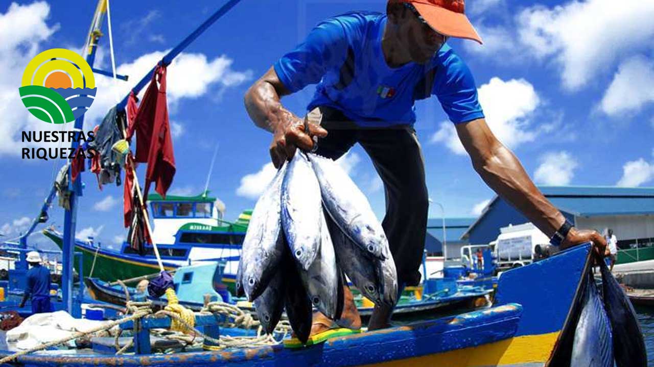 La Unión Europea logra un acuerdo sobre las capturas de pesca para 2023 