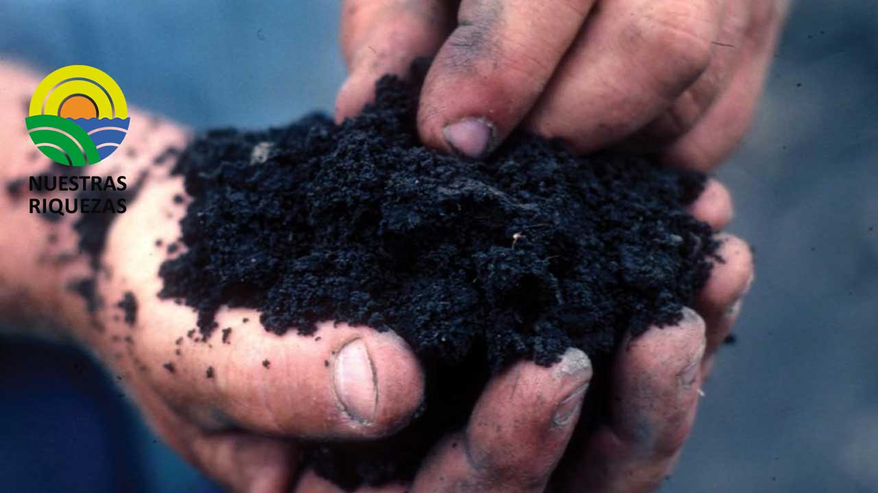  La alimentación mundial, en riesgo por la caída de los nutrientes del suelo 