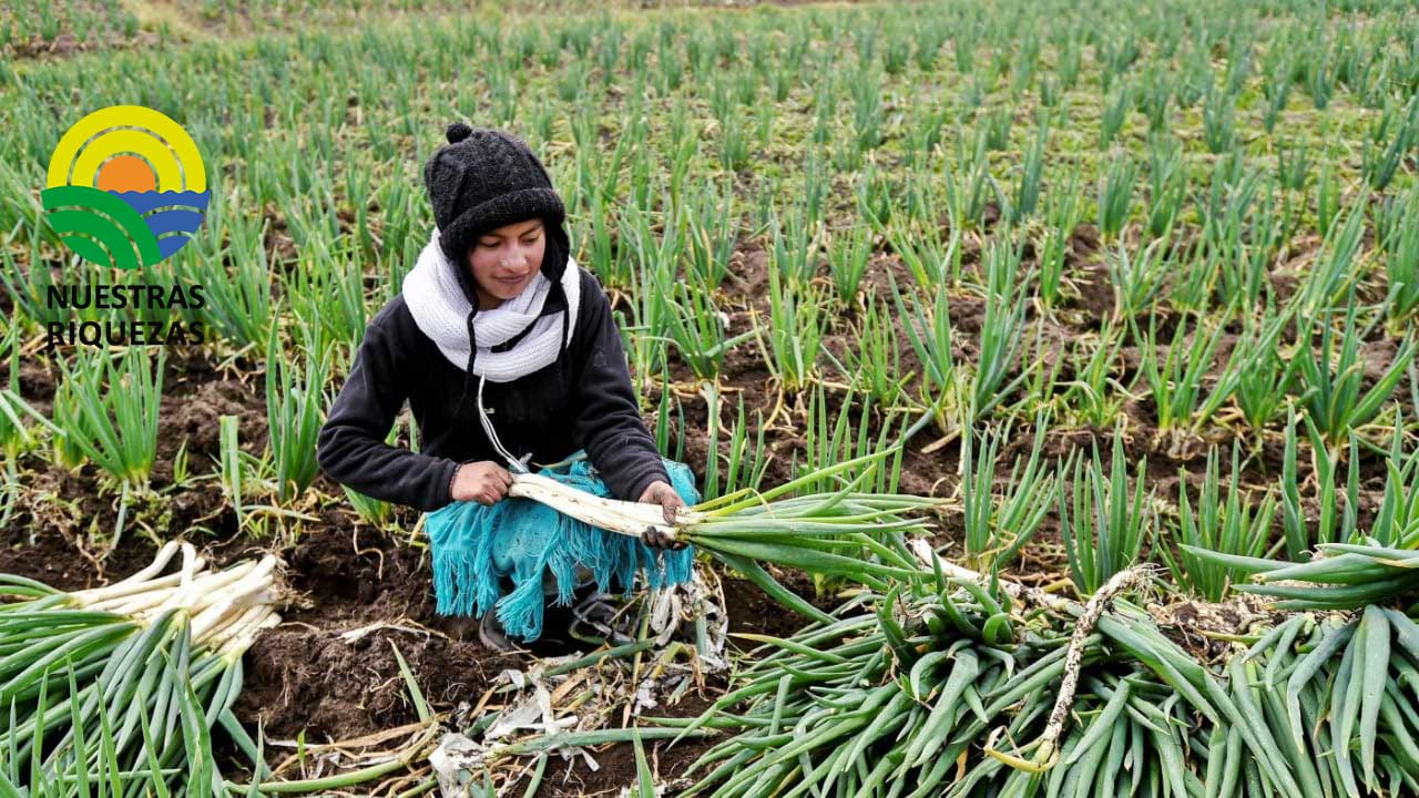La mesa temática de la Estrategia Nacional Agropecuaria para Mujeres Rurales se conformó en Cañar 