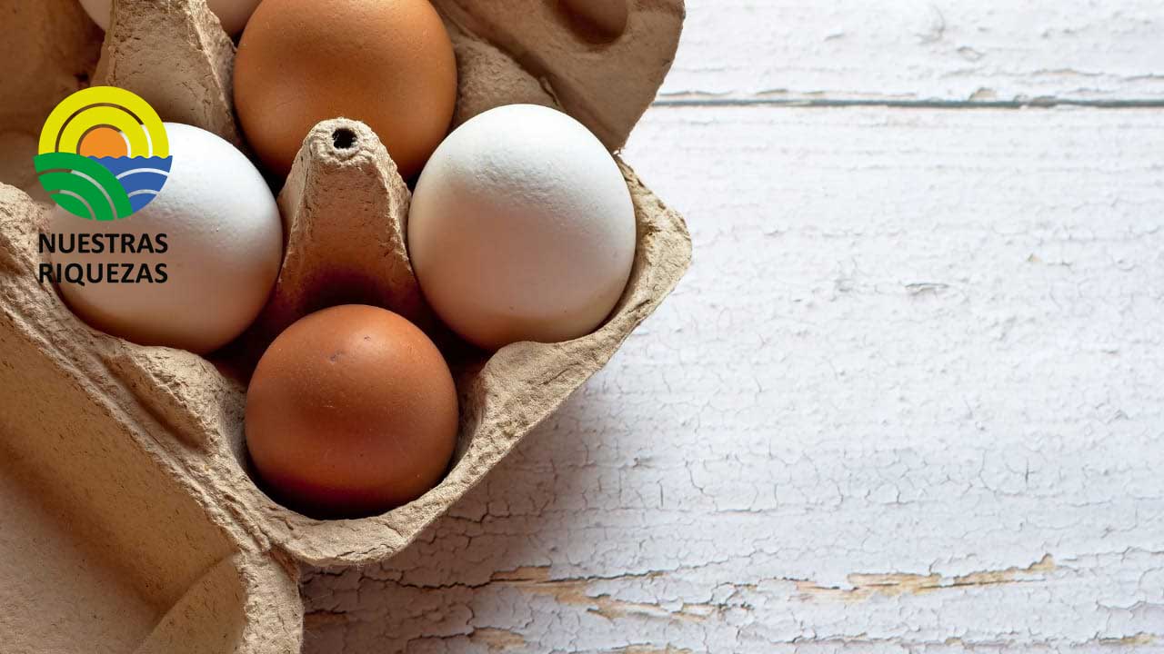 Las medidas de bioseguridad están dando confianza al consumo de huevo 