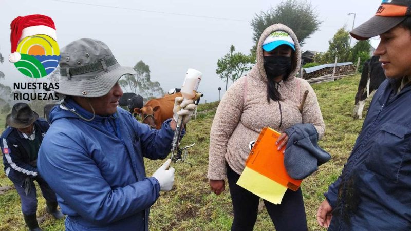 MAG fortalece la ganaderìa 