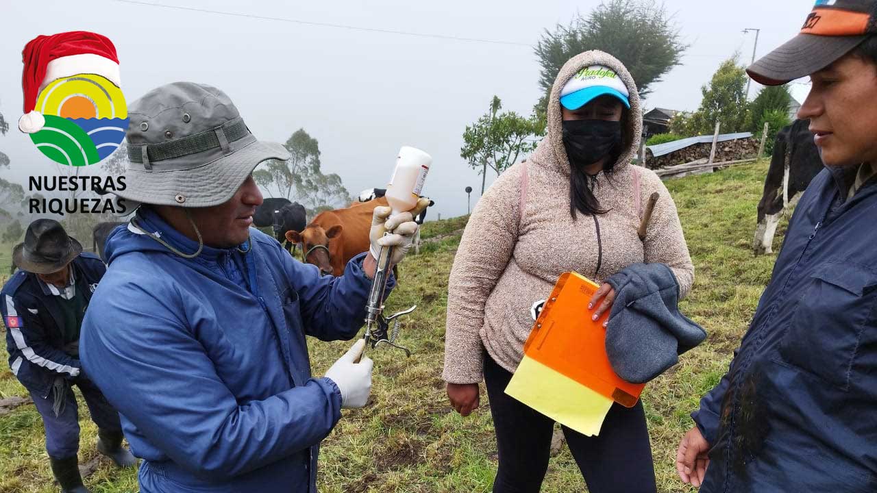 MAG fortalece la ganaderìa 