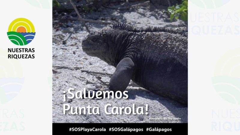 Ministerio de ambiente se pronuncia ante la construcción de un resort en Galápagos 