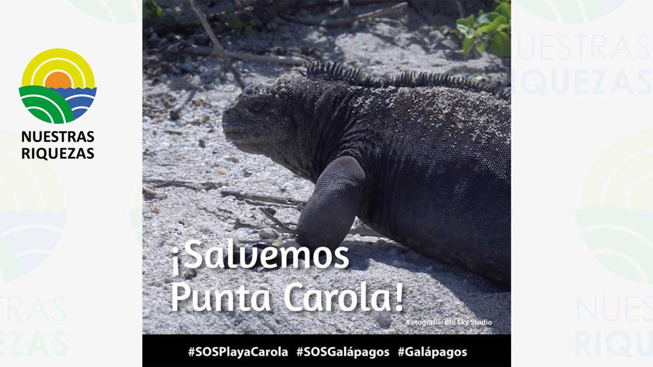 Ministerio de ambiente se pronuncia ante la construcción de un resort en Galápagos 