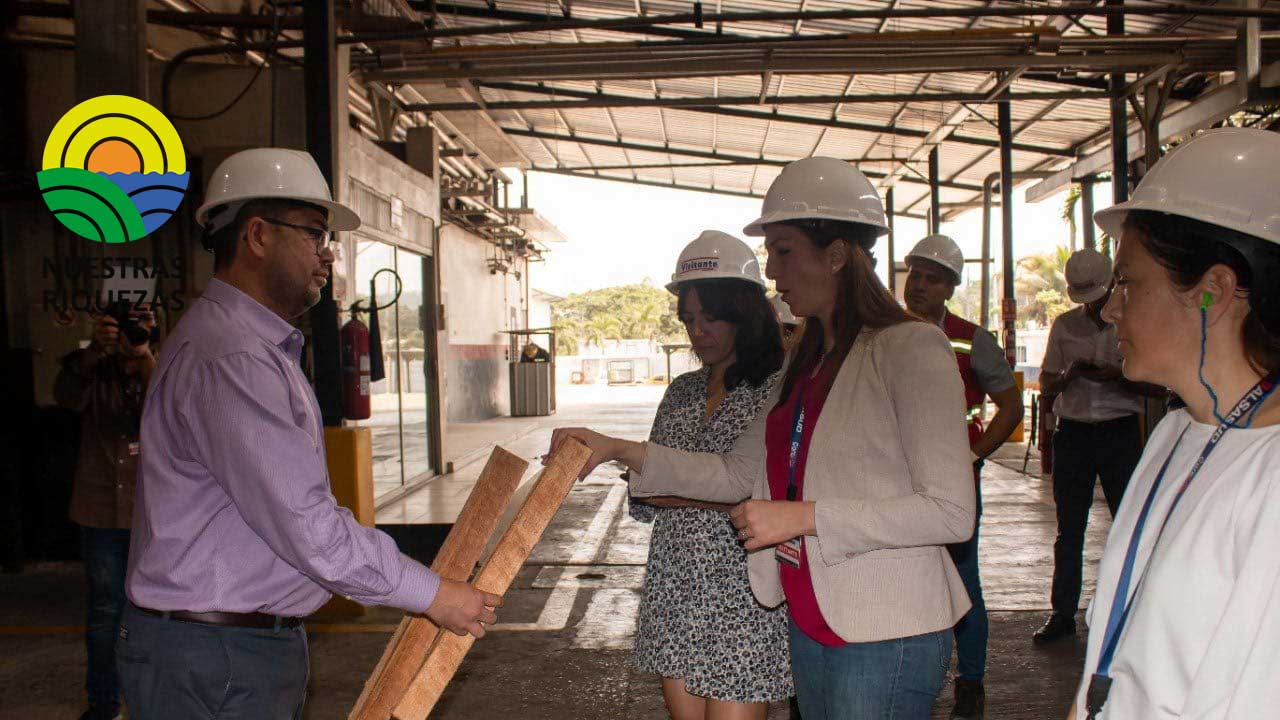 Ministerio de producción fortalece las exportaciones de balsa