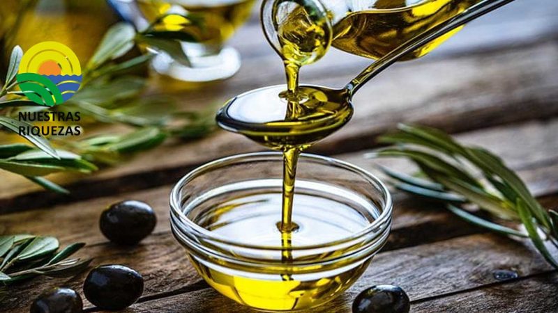 Planas apoya un etiquetado europeo que diferencie calidad del aceite de oliva