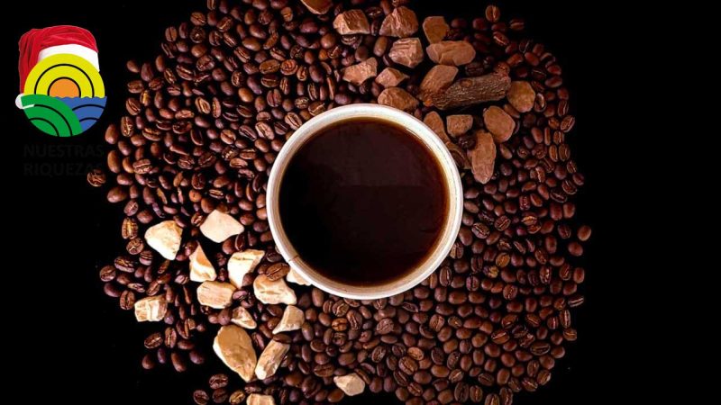 Precio del café alcanzó nuevo récord en Colombia