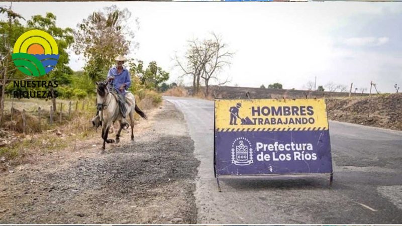 Prefectura de Los Ríos trabajan en las vías de Palenque 