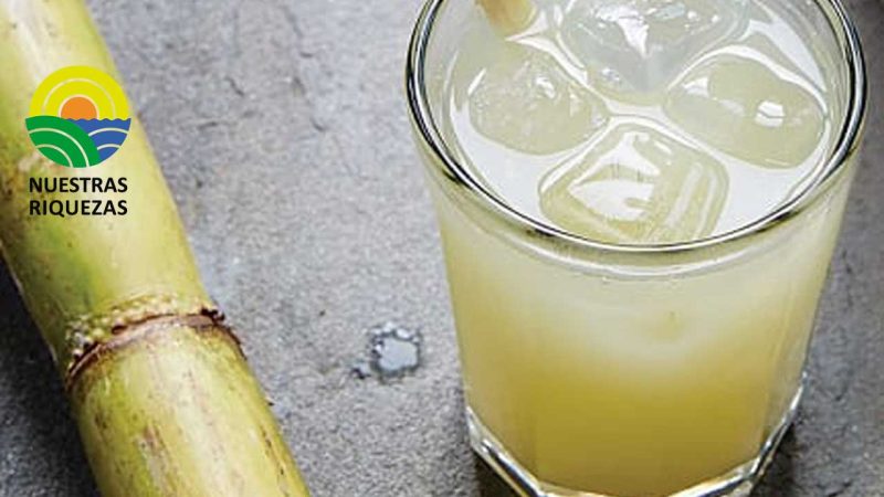 Productores de alcohol artesanal de caña de azúcar se manifestarán en la capital de la republica  