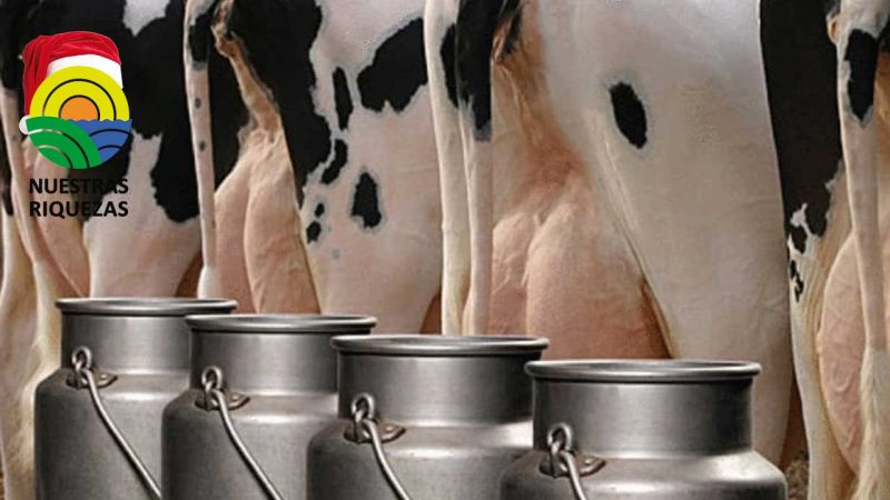 Productores piden no reducir las raciones de leche en el desayuno escolar