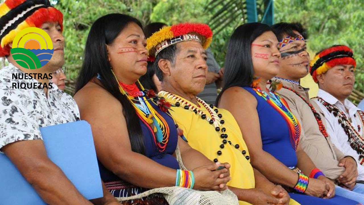 Restauración forestal, producción sostenible y bioemprendimientos son algunos de los resultados de la implementación de convenio entre el Maate y la Confeniae