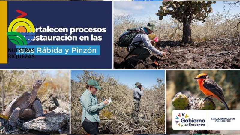 Se fortalecen procesos de restauración en las Islas Rábida y Pinzón 