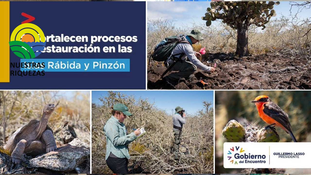 Se fortalecen procesos de restauración en las Islas Rábida y Pinzón 