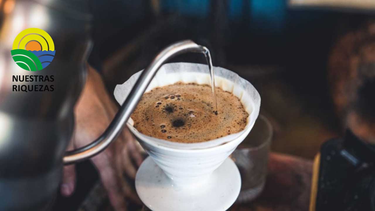 Subasta cerró con bajos precios los cafés de la Taza Dorada 