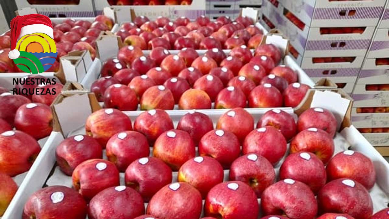 Sudamérica es un mercado con potencial de crecimiento para las manzanas polacas