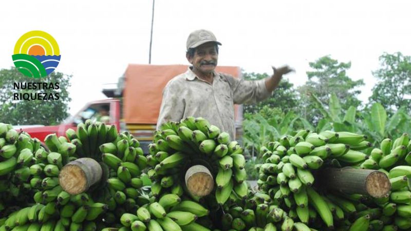 22.824 FAMILIAS SE BENEFICIAN DEL PROGRAMA EL FUTURO DE LA ALIMENTACIÓN DE HEIFER ECUADOR 