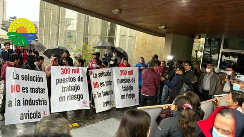 Avicultores rechazan el comunicado del MAG ante el plantón realizado 