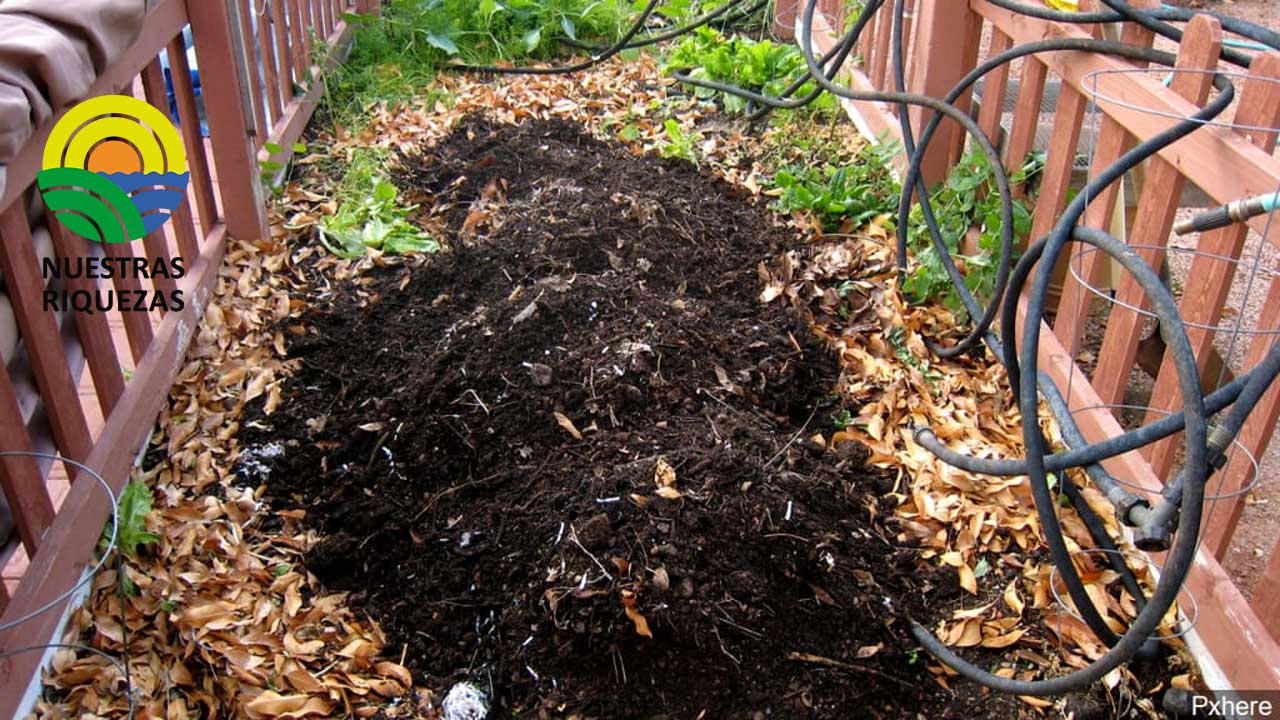 California legaliza usar restos humanos como abono para las plantas