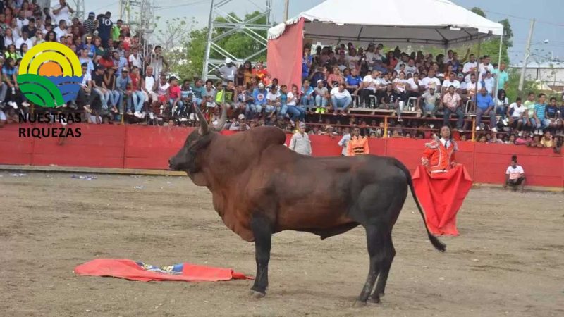 Corridas de toros en Píntag y Pifo fueron suspendidas 