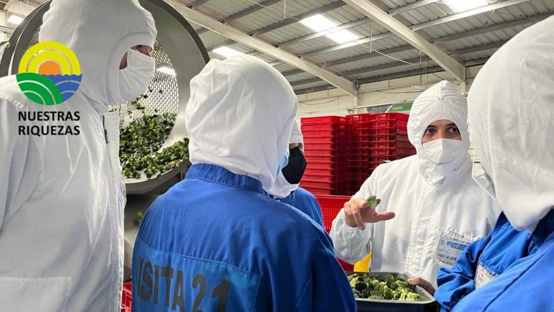 Ecuador y Japón afianzan alianzas comerciales