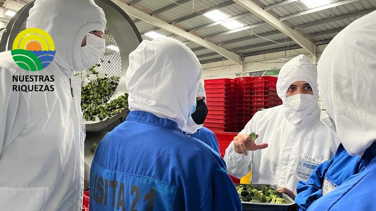 Ecuador y Japón afianzan alianzas comerciales