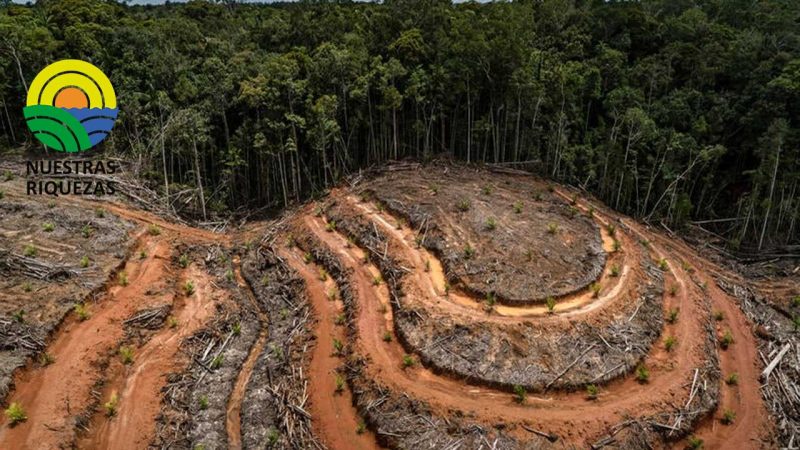 El Grupo Danec firmará este miércoles 1 de febrero