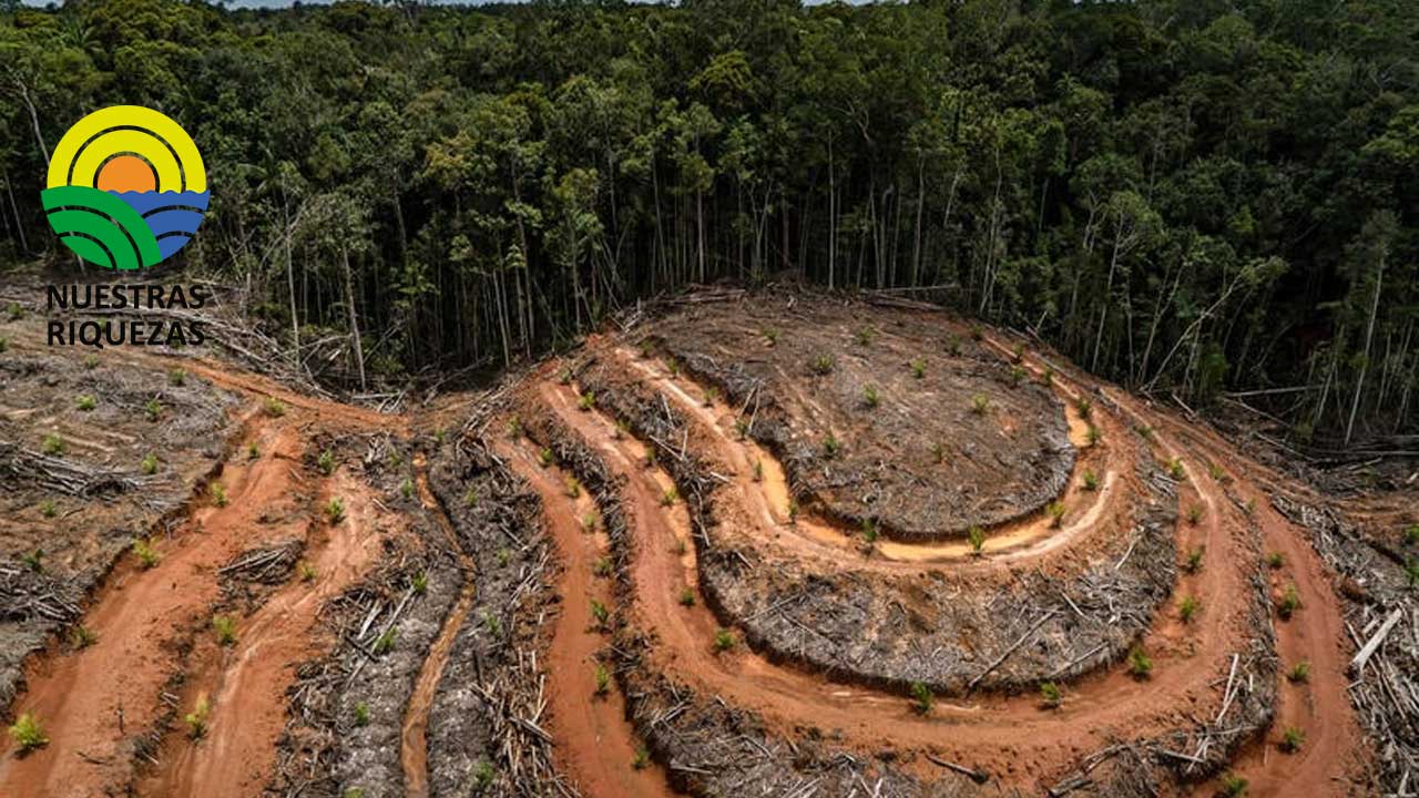 El Grupo Danec firmará este miércoles 1 de febrero