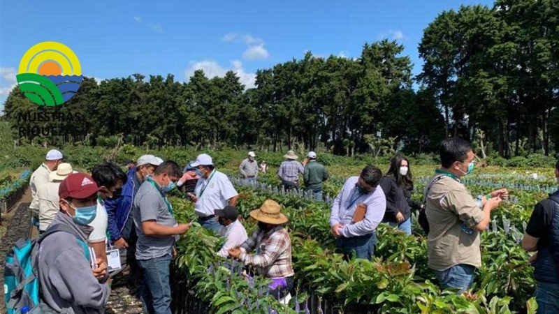 En 2022, más de 9 mil asistencias técnicas realizó el MAG en Tungurahua 