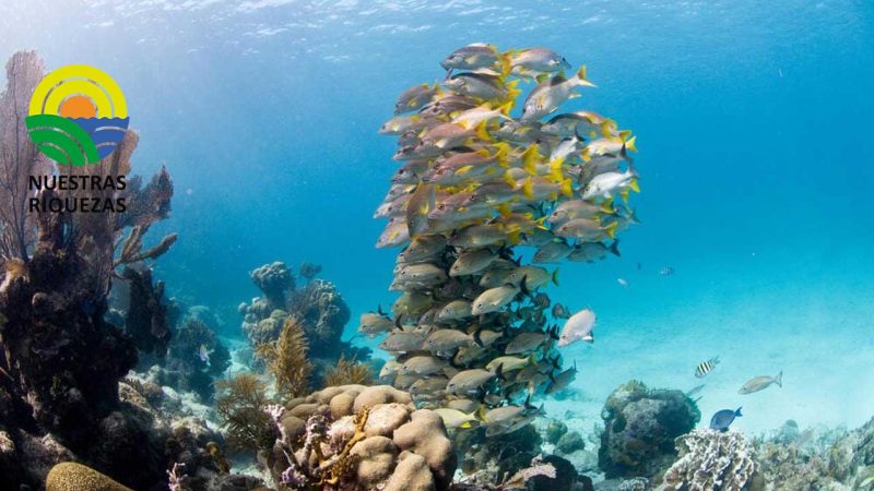 En 2022 se registró la temperatura más alta de la historia en los océanos 