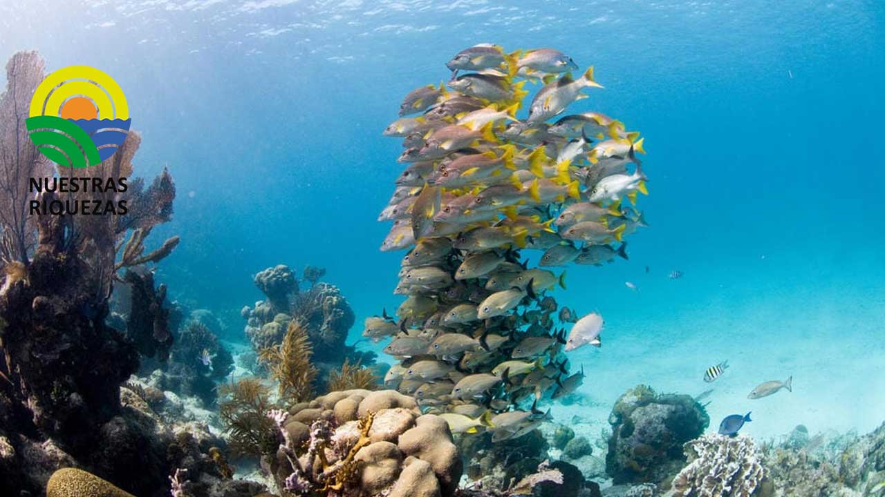 En 2022 se registró la temperatura más alta de la historia en los océanos 