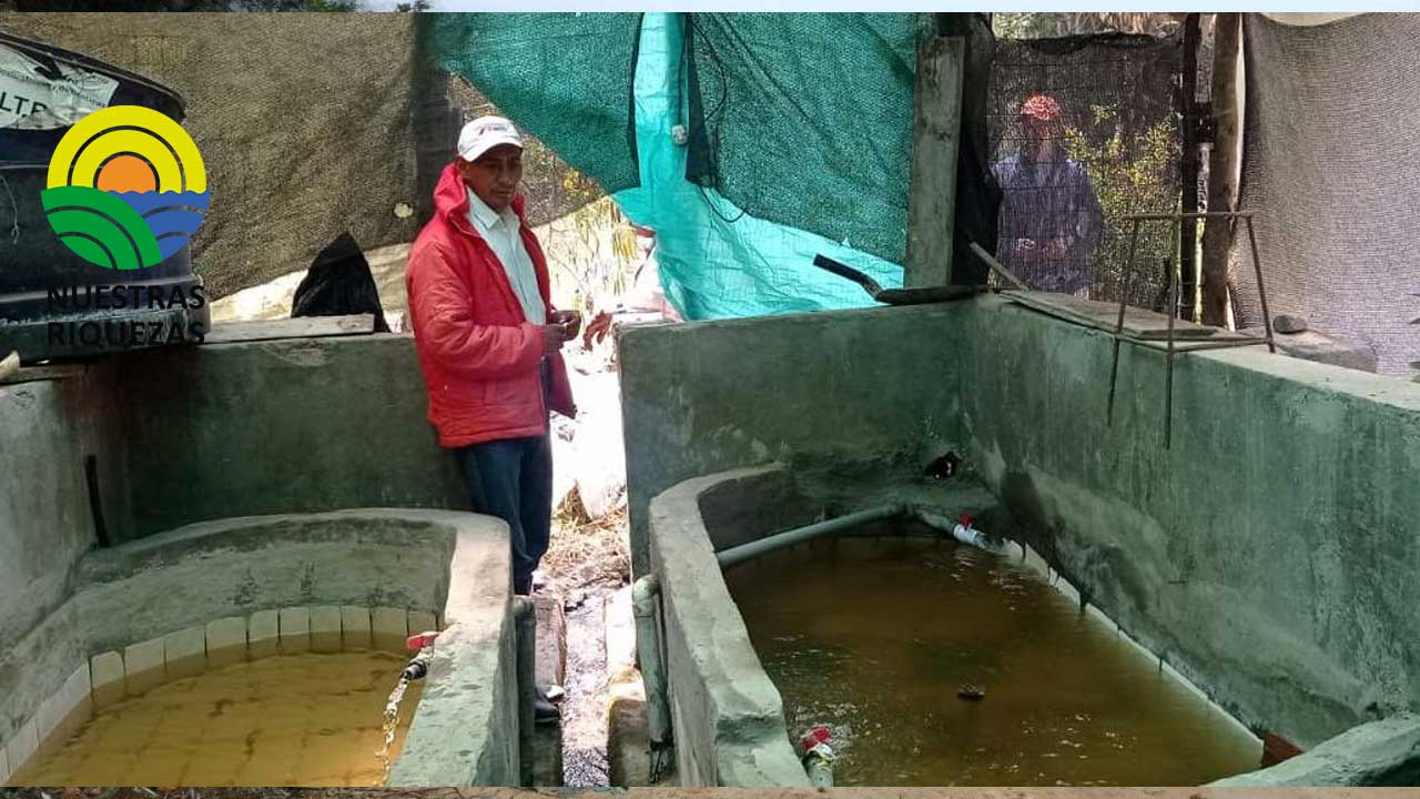 Cantón Píllaro en Tungurahua