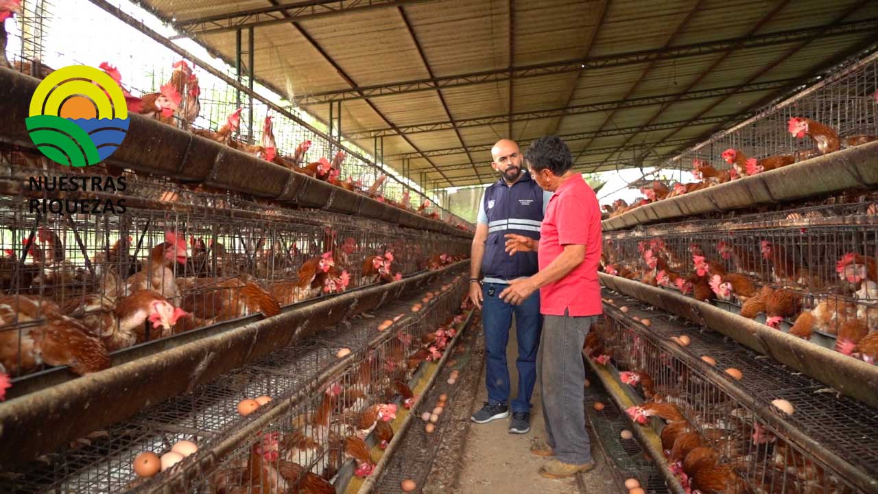 Entidades sanitarias mantienen activa vigilancia ante caso de gripe aviar 