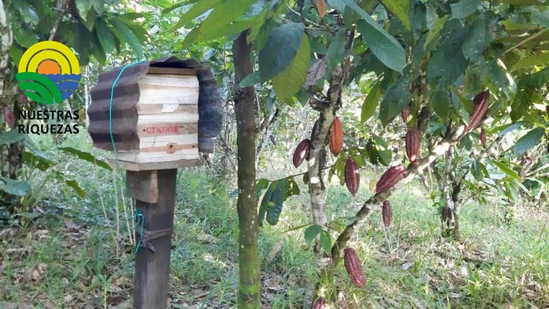 Especialistas de la Estación Exp. Central de la Amazonía de Iniap
