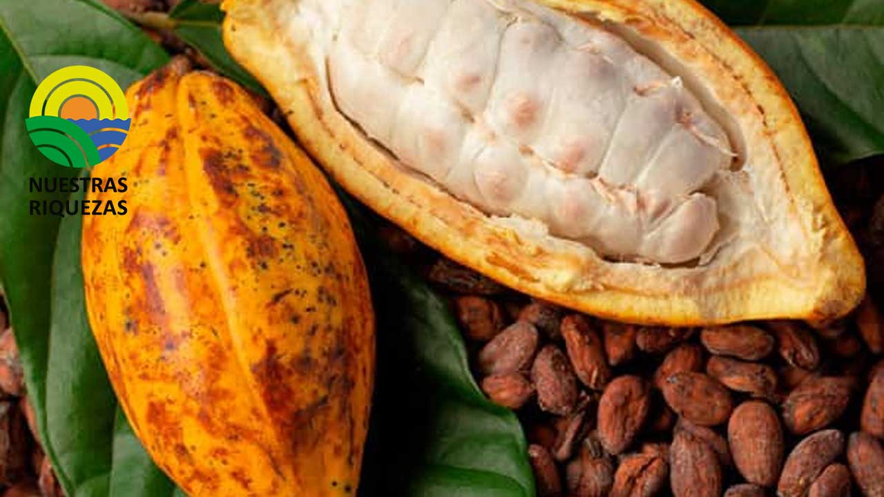 Guerra de precios y elecciones, un reto para los exportadores 