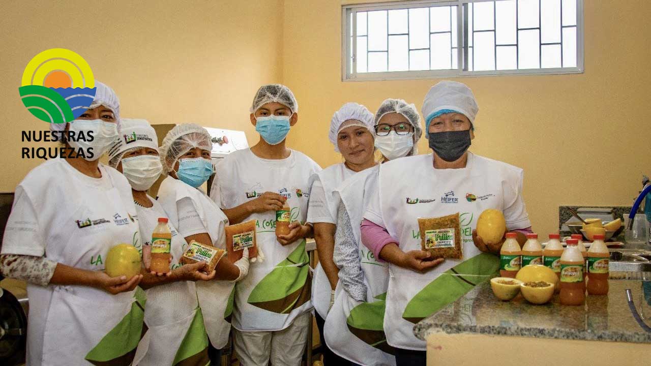 Heifer ecuador impulsa a la mujer ecuatoriana 