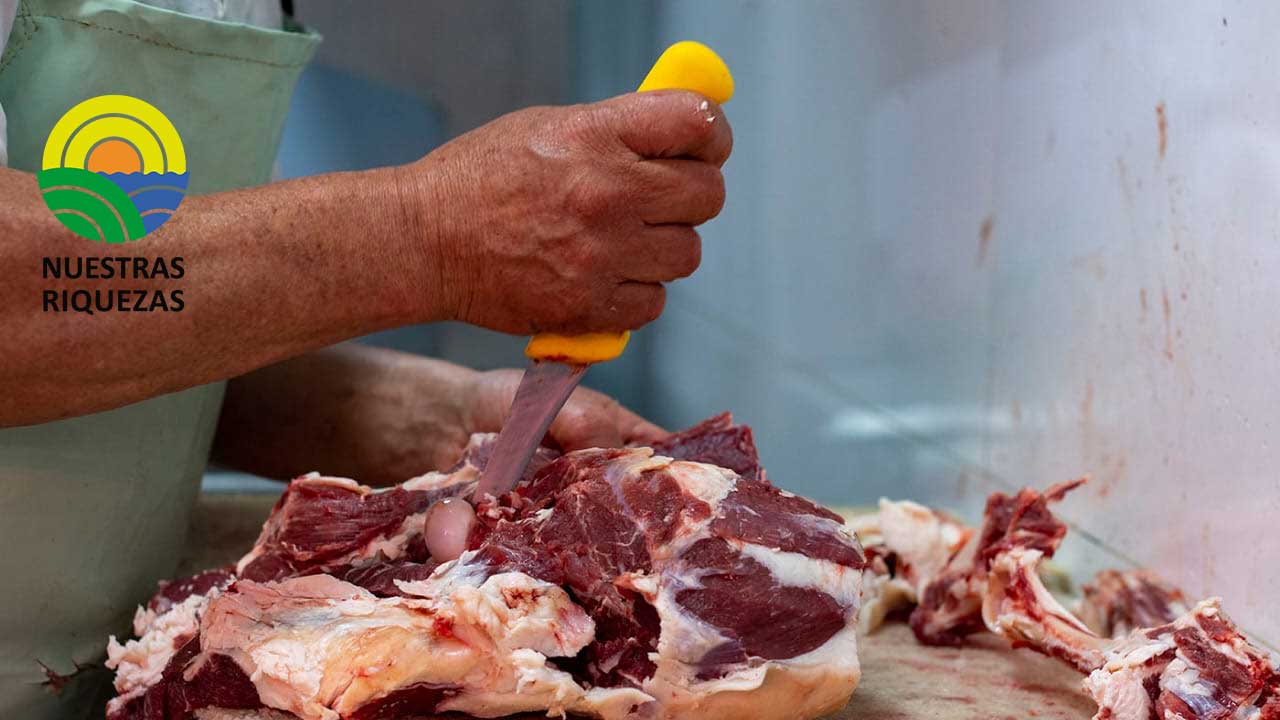 Huesos desechados por la industria cárnica descontaminarían aguas residuales 