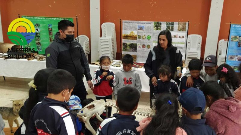 Chile: Se lanza programa que trabajará con productores apícolas de las provincias de Palena y Llanquihue 