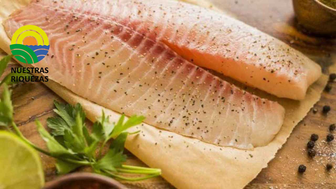 INVESTIGADORES DE FAO PROPONEN ESTRATEGIAS PARA UTILIZAR EL 100% DE LA TILAPIA 